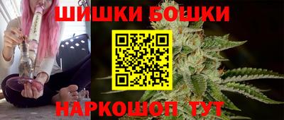 молекула духа Будённовск