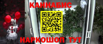 молекула духа Будённовск