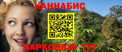 молекула духа Будённовск