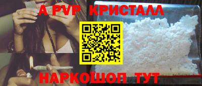 молекула духа Будённовск