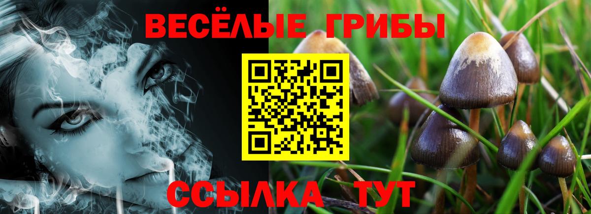 где купить наркоту  Галлюциногенные грибы мицелий  Вход с VPN  Петрозаводск 